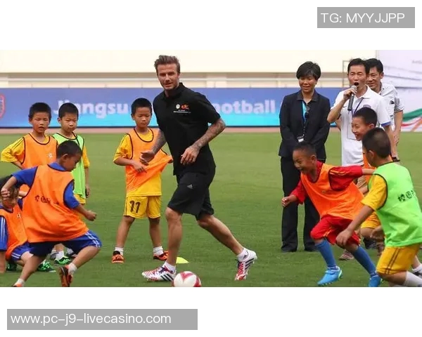 足球员的成长之路:从青训营到职业赛场的奋斗与荣耀